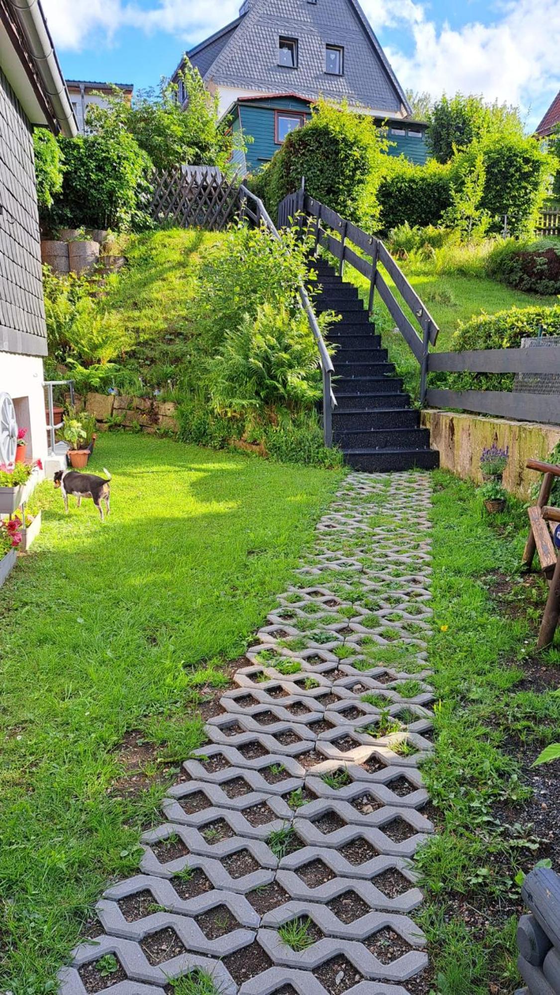 Ferienwohnung Friedrichsruh Braunlage Exterior foto