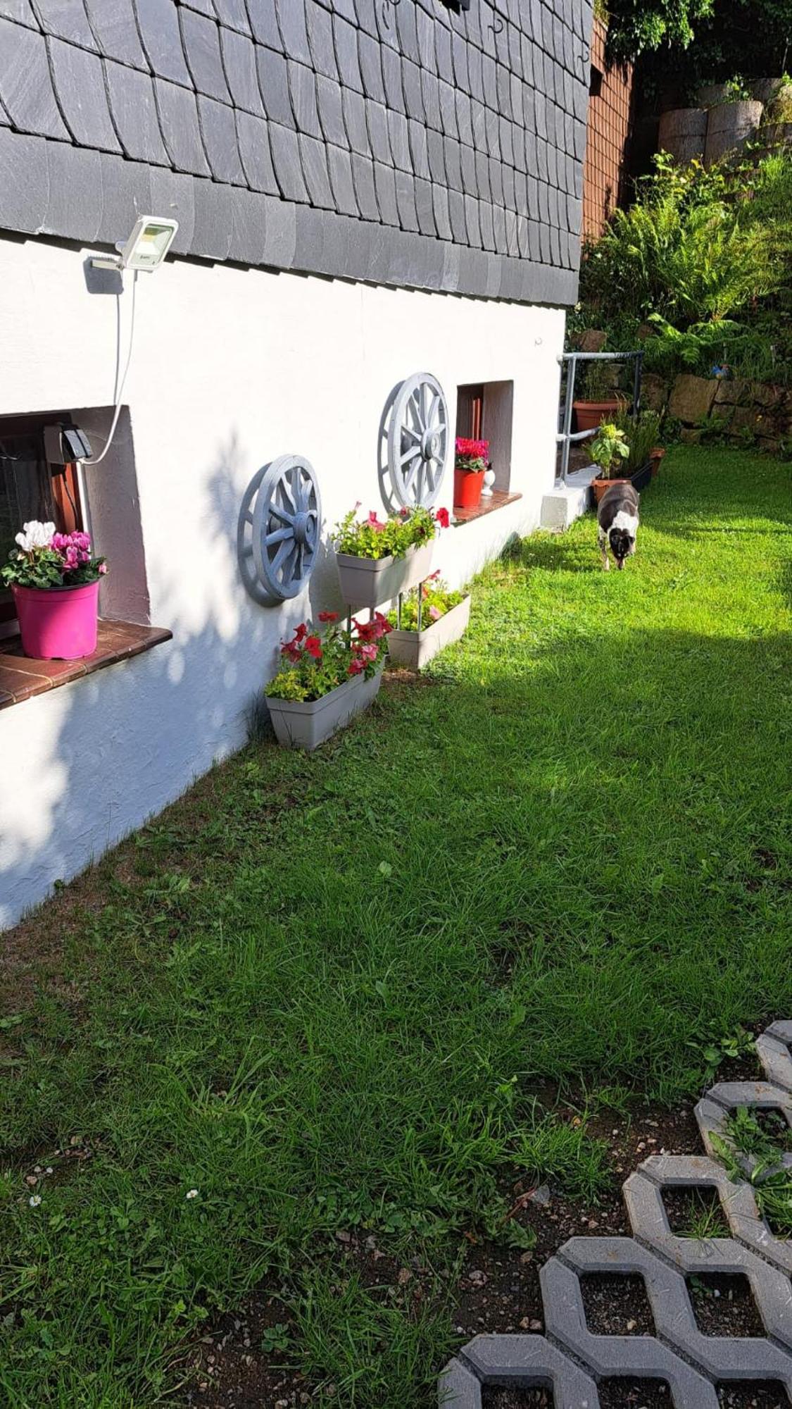 Ferienwohnung Friedrichsruh Braunlage Exterior foto
